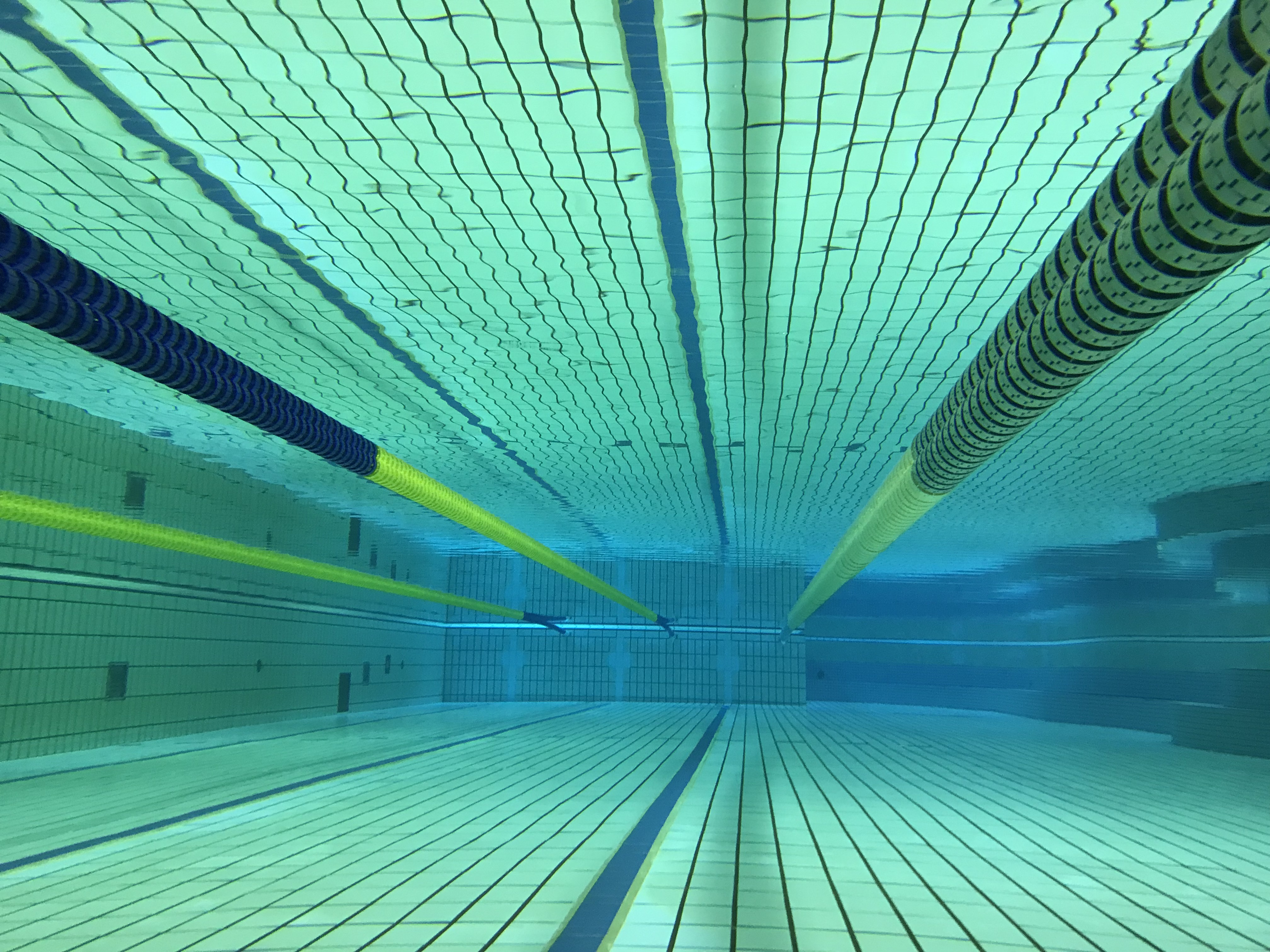 プール水中