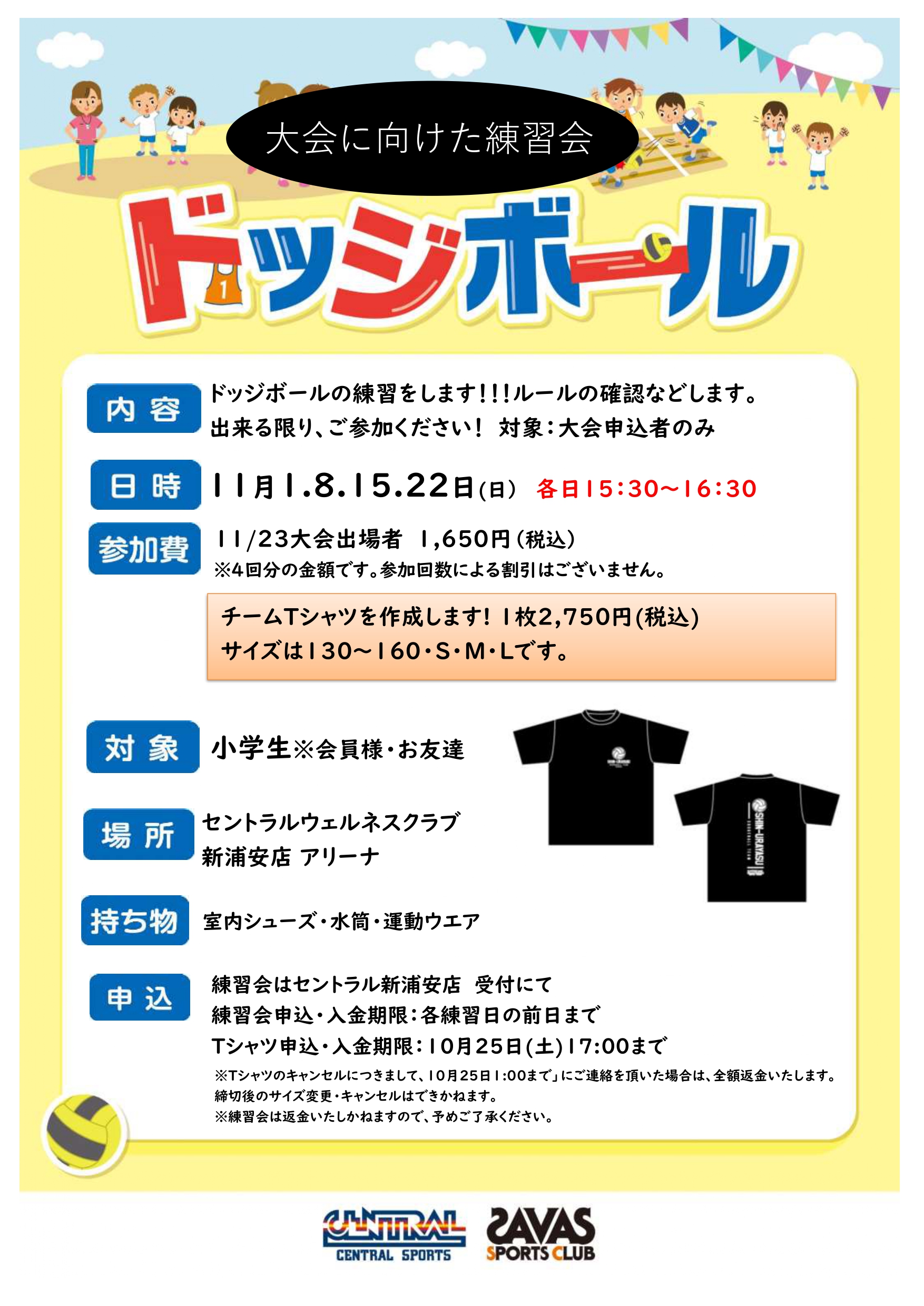 スタッフボイス画像