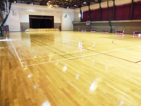 ＜アリーナ＞ハンドボール実業団の大会が開かれたほどのアリーナです‼
