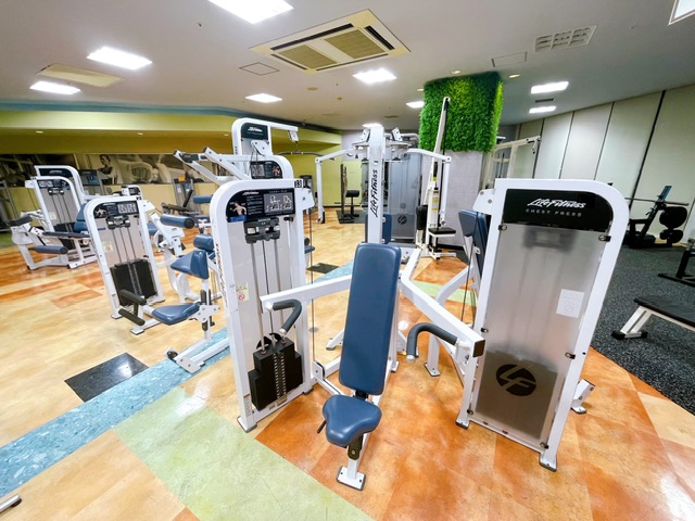 上半身　筋力トレーニングゾーン