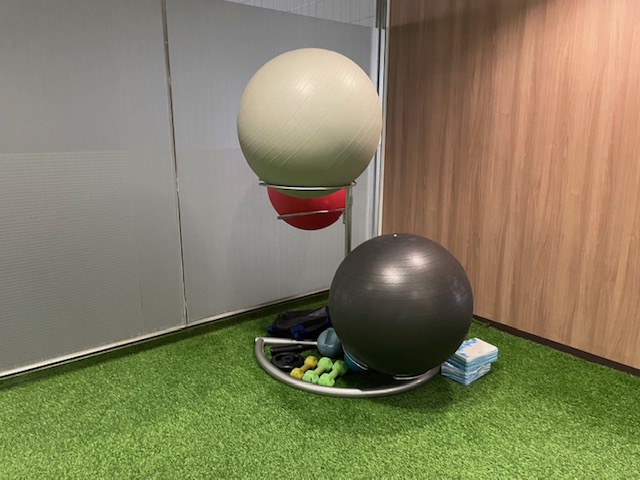 ＜人口芝エリア＞自由にご利用可能なフィットネス器具を様々ご用意しております。