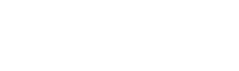 2026年11月